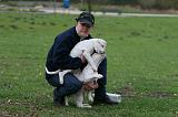 ADULTE ET CHIEN 365